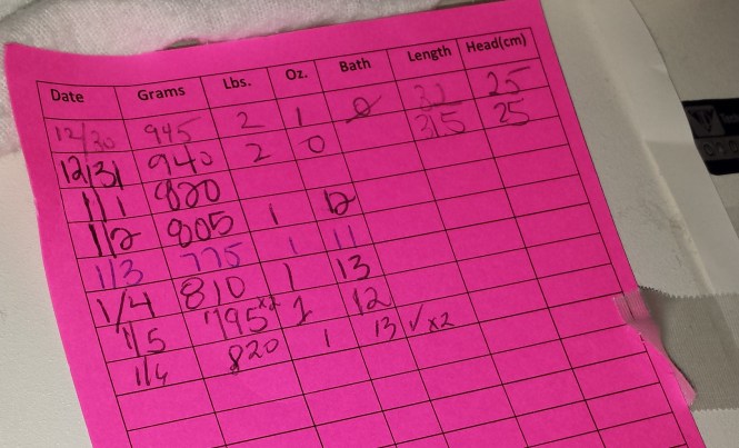 20140106_061905 - crop