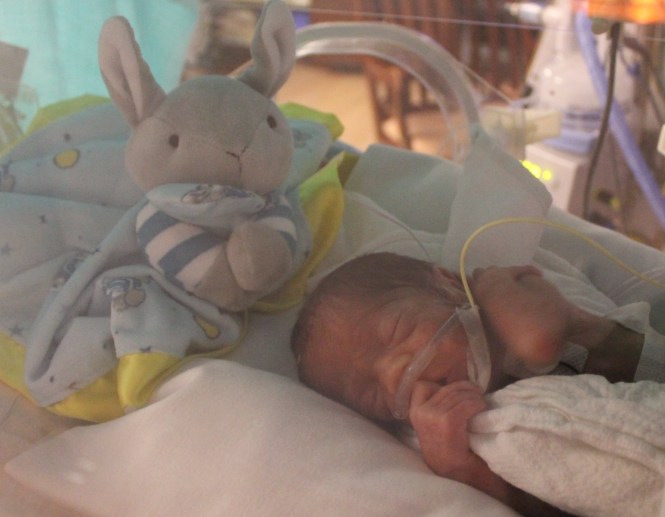 Max sleeping with his Goodnight Moon "lovey" from Cousin F
